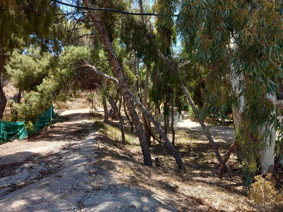 Acogedor Bungalow Adosado El Campello Dış mekan fotoğraf